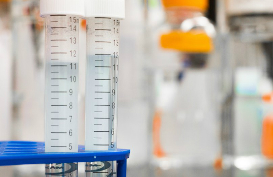 lead testing